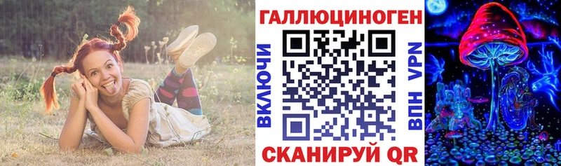 Псилоцибиновые грибы мицелий  где продают наркотики  Абаза 
